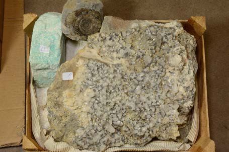 Null Lot avec calcite, amazonite et ammonite d'Angleterre