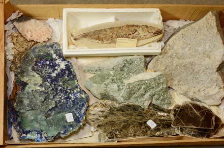 Null Lot avec quartz, azurite et malachite (Grèce), poisson fossile de Sao Paolo&hellip;