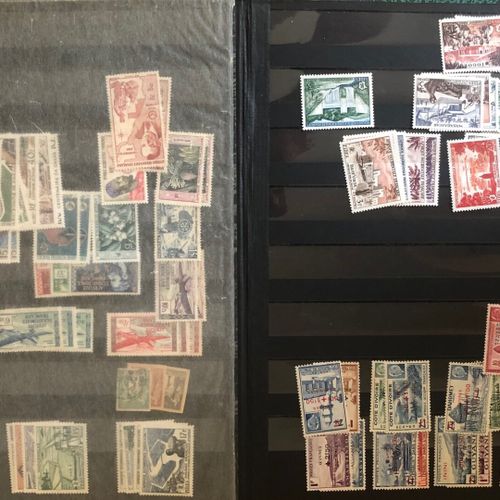 Null 1 carton Colonies Française et TOM, nombreux classeurs, timbres, pochettes,&hellip;