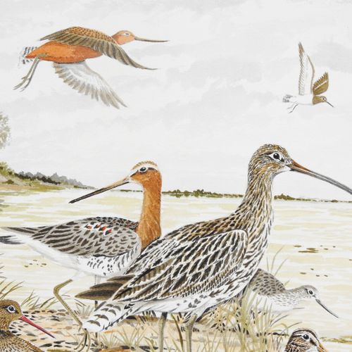 Null Jean MAILLARD (1901-1993)

Oiseaux sur l'étang dont bécasses

Aquarelle sur&hellip;
