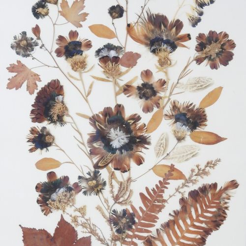 Null Henry BALLU - XXe siècle

Herbier

Composition florale à partir de plumes, &hellip;
