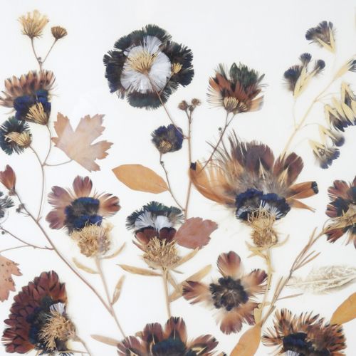 Null Henry BALLU - XXe siècle

Herbier

Composition florale à partir de plumes, &hellip;