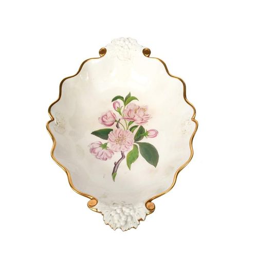 Null 一个Ridgway瓷器植物部分甜点服务，约1810-15年，模压葡萄藤把手，每件都印有从William Curtis的植物杂志上摘取的花卉标本，包括 &hellip;