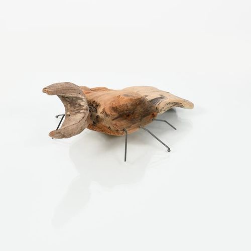 Null 
‡ Sid Burnard (nacido en 1948) Escarabajo ciervo, 2014 escultura de madera&hellip;
