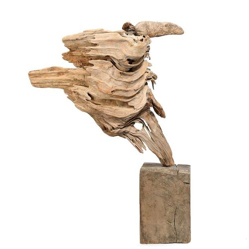 Null 
‡ Sid Burnard (born 1948) Vulture, 2008 driftwood sculpture on wooden plin&hellip;