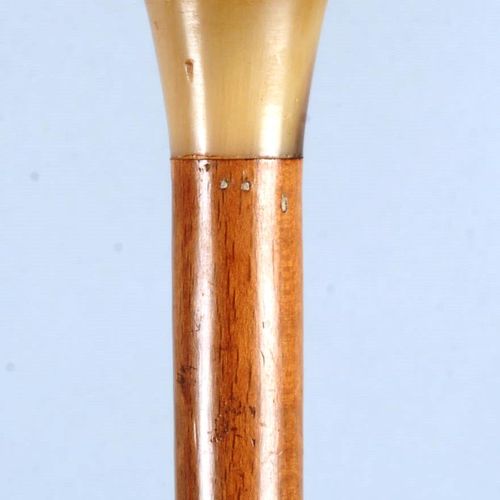 Canne à pommeau milord 金色牛角手杖，轻型手杖杆上有米洛德把手。长度：85 厘米。