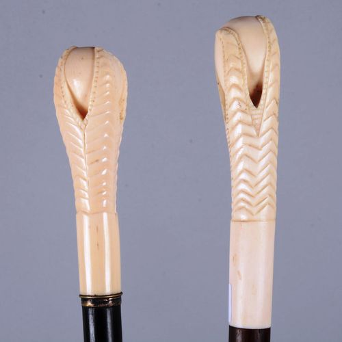 Paire de cannes à pommeau sculptés 一对手杖，杖钮为暖房风格，雕有怀抱鸟蛋的猛禽；象牙杖套；杖杆为熏黑木和上过清漆的棕色木。长&hellip;