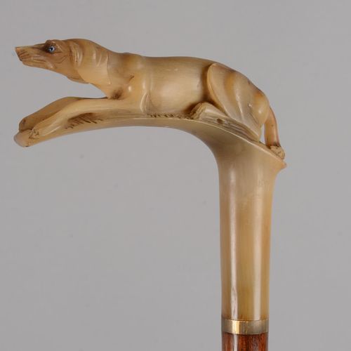 Belle canne à poignée équerre 漂亮的手杖，方形金色牛角手柄上雕刻着一只正在觅食的狗，眼睛是玻璃做的；牛角套管和上过清漆的木质手柄。&hellip;