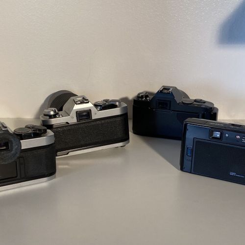 Un lot d'appareils photo CANON AL1 (28/50) AE1 (2,8/55) T50 (35x70) Auto Focus E&hellip;