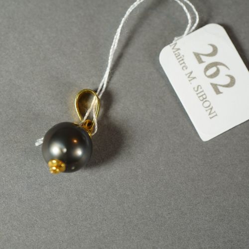 Null 262- Pendentif en or et perle de Tahiti

Pds : 2,40 g