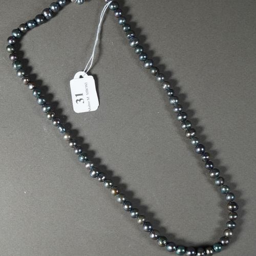 Null 31- Collier de perles d'eau douce