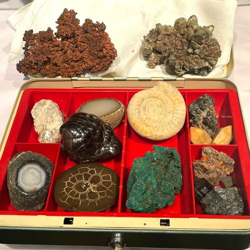 Null MINERALS - Lot of minerals and fossils