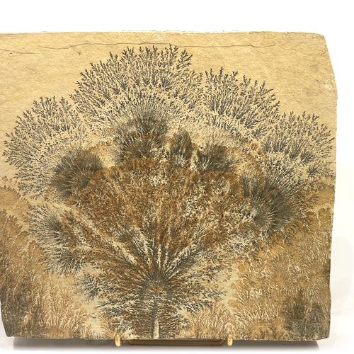 Null MINERALS - Manganese Dendrite.

Germany, Bavaria 

24 x 22 cm approx