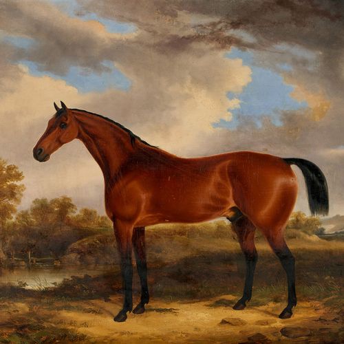 COLE, GEORGE "Portrait d'un cheval".
Huile sur toile, doublée,
sig. U. Dat. (1)8&hellip;