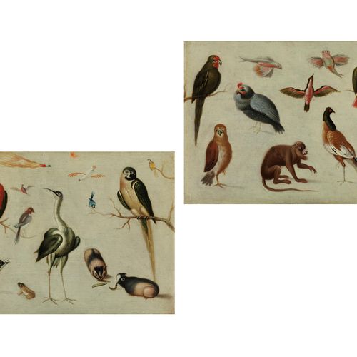 Frederick Bouttats d. Ä., 1612 – 1661, zugeschrieben 一对有鸟、水果、海猪和猴子的丝巾 木板油画。
14.4&hellip;