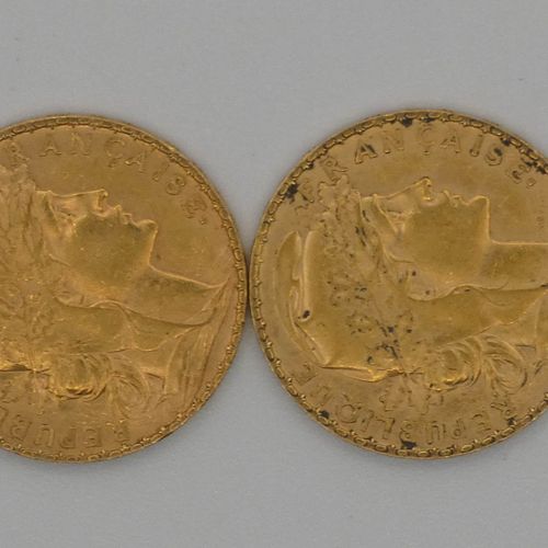 Null Deux pièces de 20 frs République Française 1906. 12,94 grs ----- VENDUE SUR&hellip;