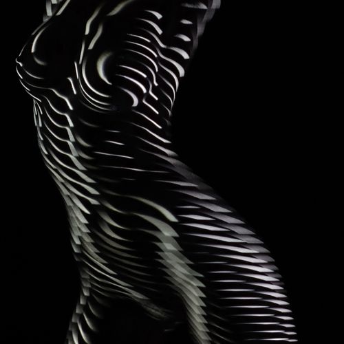 Dani Olivier (1969-) Danzando con la luce, 2017

Edizione unica. Fotografia lami&hellip;
