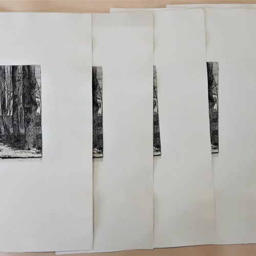 Null BRACQUEMOND Félix (1833-1914) « Groupe d'arbres avec deux bouleaux ». Ensem&hellip;