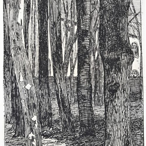 Null BRACQUEMOND Félix (1833-1914) « Groupe d'arbres avec deux bouleaux ». Ensem&hellip;