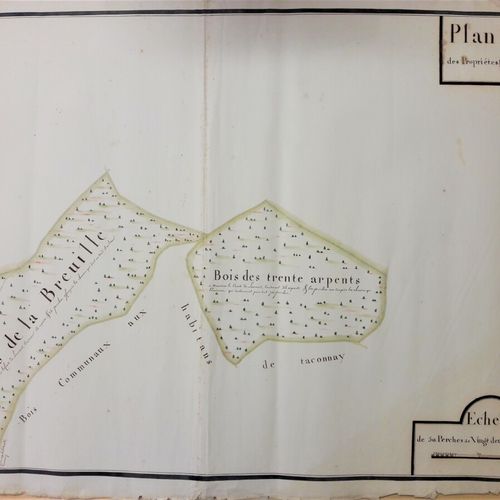 Null Grand terrier composé d'une feuille « Plan des terres de Brinon ». Plume, l&hellip;