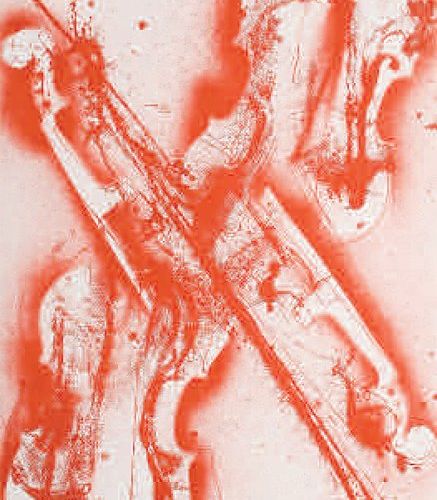 ARMAN (1928-2005) Violons. Lithographie en couleurs, 750 x 540 mm, signée et num&hellip;