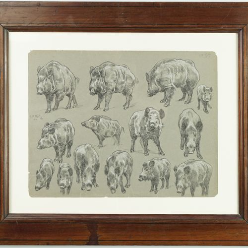 Null Georges Fréderic ROTÏG (1873-1961)《野猪的研究》。

铅笔画，有白色粉笔的亮点。

右上和左中有签名，日期为02。