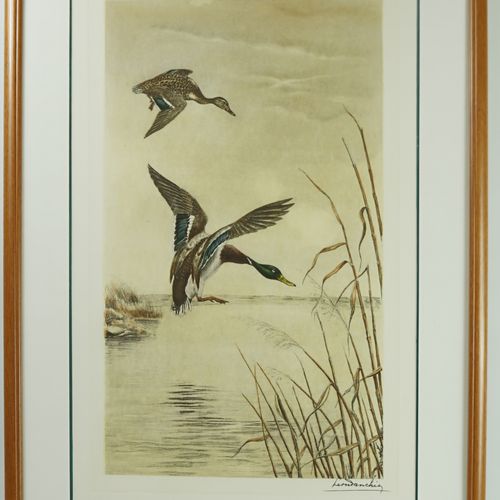 Null 莱昂-丹辛 (1887-1938)

表现两只鸭子降落在沼泽地的精美雕刻。

右下方有签名。

55,5 cm x 31 cm