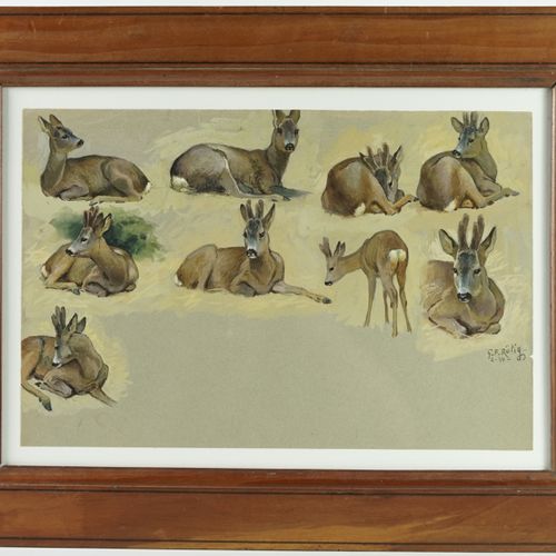 Null Georges Fréderic ROTÏG (1873-1961)《鹿的研究》。

水粉画。

右下方有签名。

尺寸：24,5 x 32,5 cm