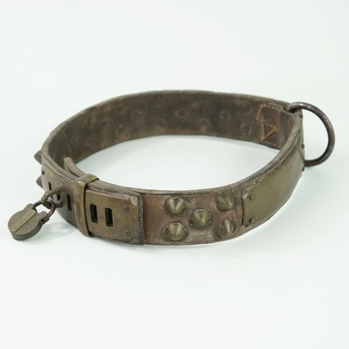 Null Dog collar, studded leather, with a plate