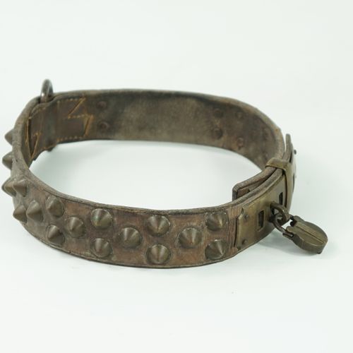 Null Dog collar, studded leather, with a plate