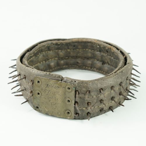 Null Dog collar in studded leather, against wolves, with a plate of belonging : &hellip;
