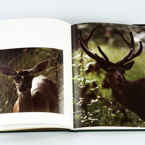 Null Gerard JADOUL et Jean-Pierre VERHOEVEN "Le dernier cerf"

Édition du Perron&hellip;