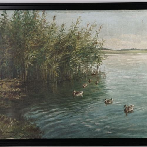 Null Alois Nitze Brandenburg (1873 - 1934), L'étang aux canards.

Huile sur toil&hellip;