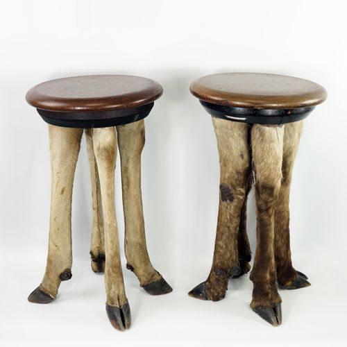 Null Pair of stools with naturalized antelope legs, oak seats. (circa 1900)



J&hellip;