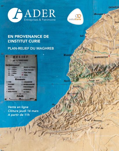 [ONLINE SALE] From the Institut Curie: Maghreb relief map (Algeria, Libya, Morocco, Mauritania, Mali, Niger, Tunisia, Western Sahara)