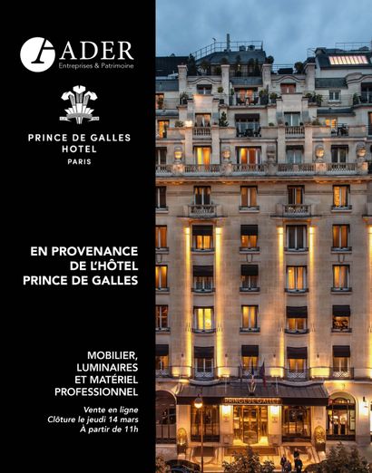 From the Hotel Prince de Galles: Furniture, Lighting and Professional Equipment