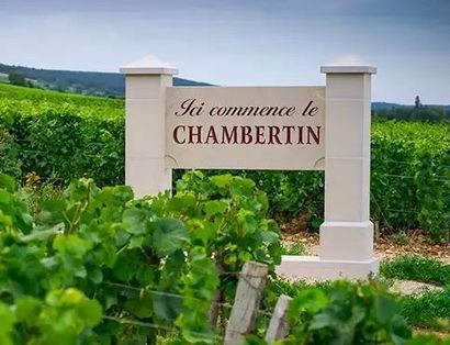 Sale in Gevrey-Chambertin and Day of expertise outside the walls.
