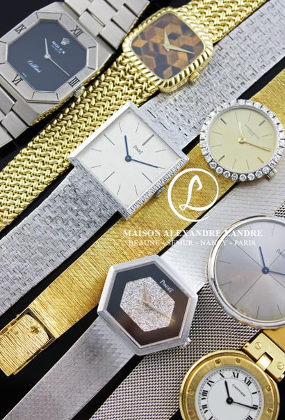 Watch collections