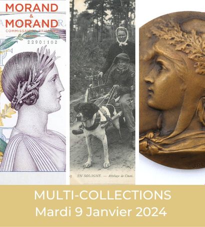 MULTI-COLLECTIONS: Numismatics, Medals, Stocks and Postcards