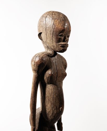 Arts d'Afrique Collection Nicolas de Kun et Collection privée française