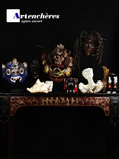 L'esprit d'un collectionneur : Art Africain, Coquillages, Robots et divers