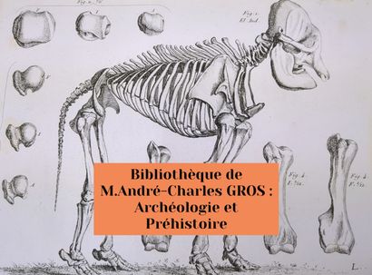 Vente de Livres : Bibliothèque de M.André-Charles GROS : Archéologie et Préhistoire