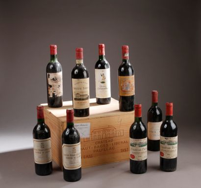 Grands vins de Bordeaux et de Bourgogne - 130 Pièces en or et 3 Lingots