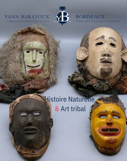 Histoire naturelle & Art tribal