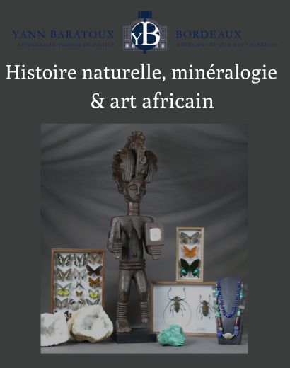 Histoire naturelle & Art tribal