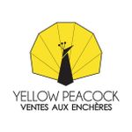 ART & DECO BY YELLOW PEACOCK