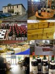 Plus de 3500 bouteilles de grands vins de Bordeaux