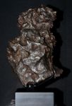 collection de météorite, histoire naturelle