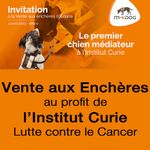 Vente aux Enchères Caritative au profit de l’Institut Curie
