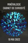 Cabinet de curiosité - Instruments scientifiques & importante et rare collection de Minéralogie 